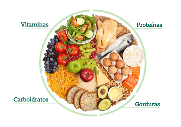 Prato com uma variedade de alimentos saudáveis e equilibrados